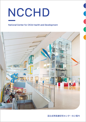 ncchd_centerpamphlet.png