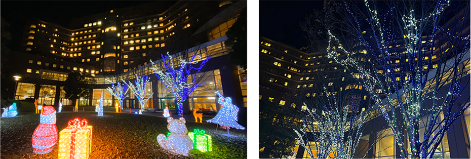 illumination_2024.png