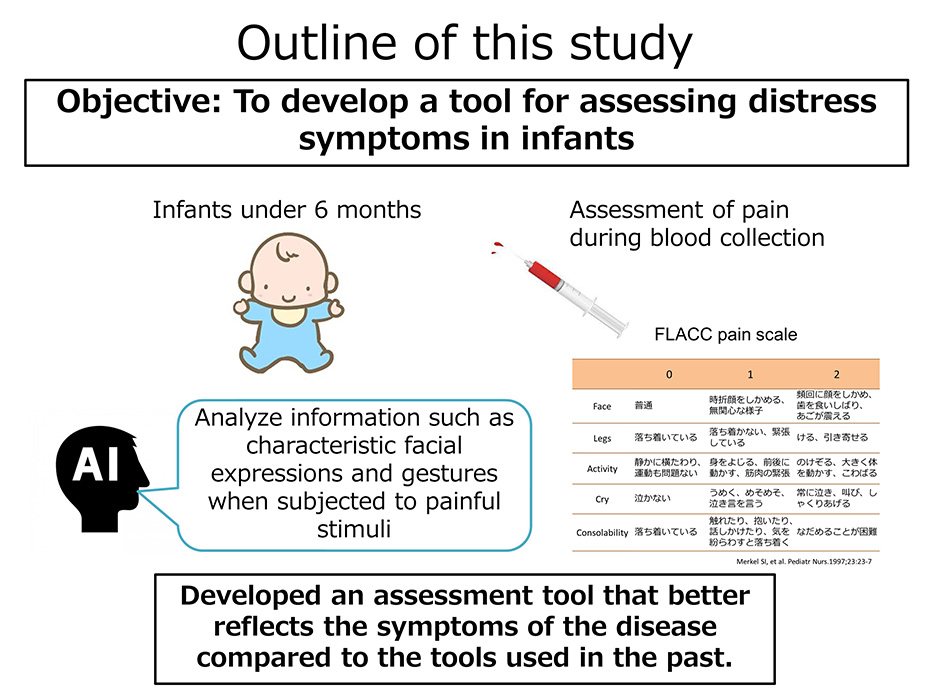 Outline of this study