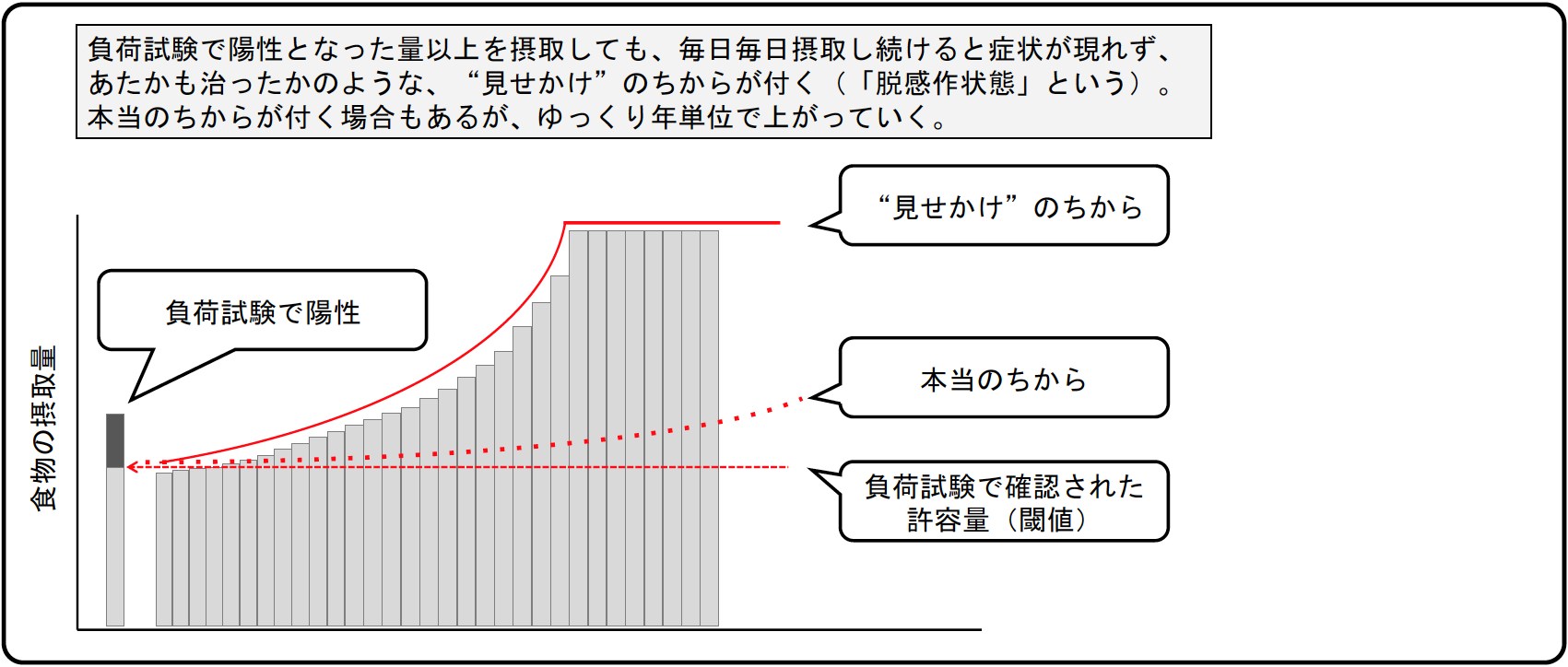 allergy_menekiyoho_img01.pngの画像