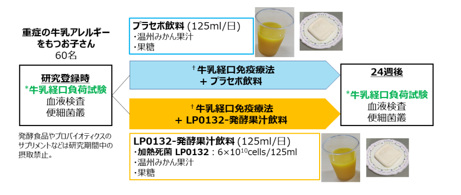 研究方法のイメージ図