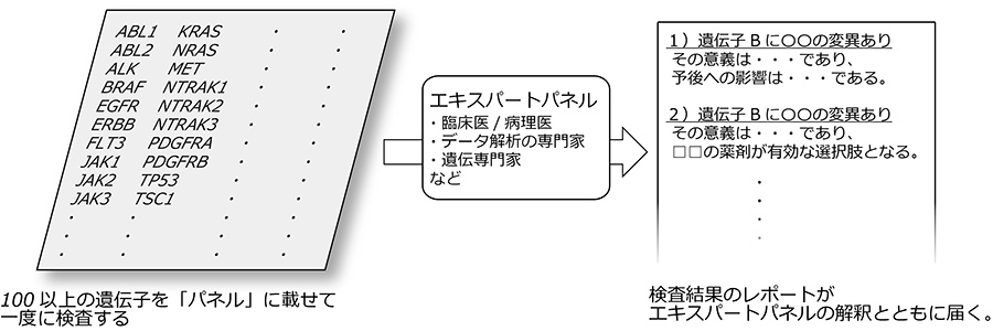 「パネル検査」説明図