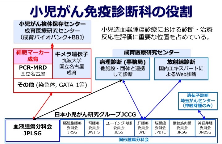 小児がん免疫診断科の役割の画像