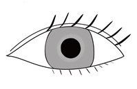 eye.jpg