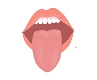 mouth.jpg