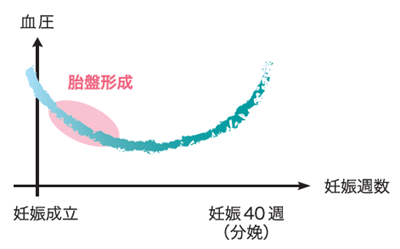 bosei-hightbp_01.png