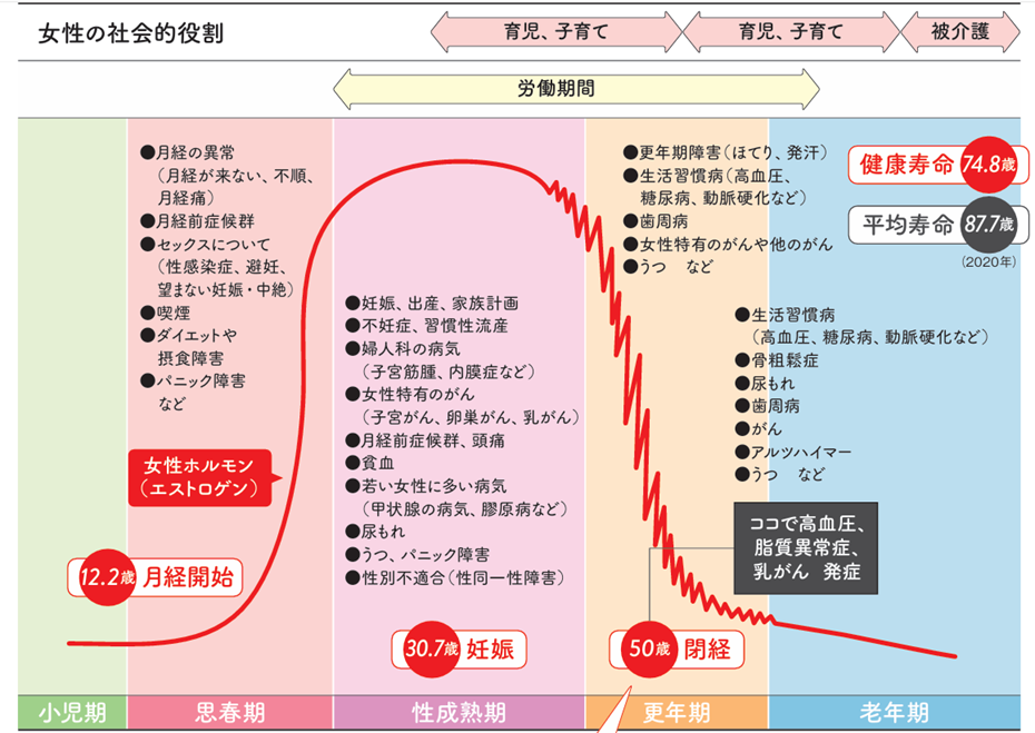 女性のライフステージと健康課題