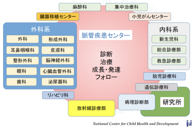 診療チーム概略図