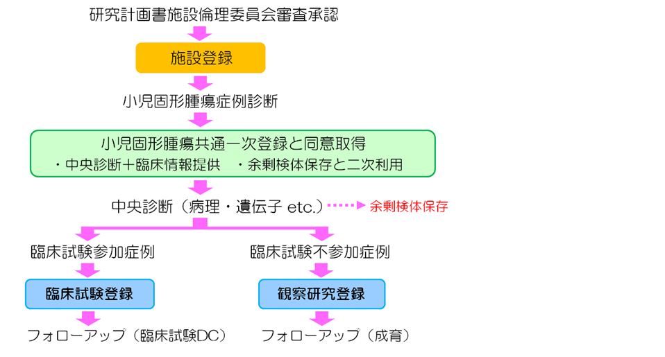 JCCG_flowの画像