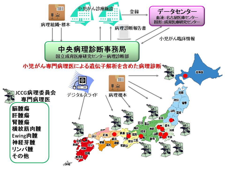  中央病理診断事務局の画像