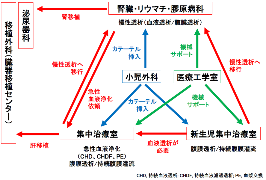 診療チーム