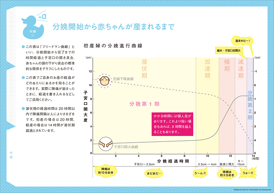 流産してしまいました。いったいどうして？