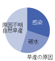 早産外来 国立成育医療研究センター