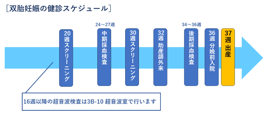 双胎妊娠の健診スケジュール