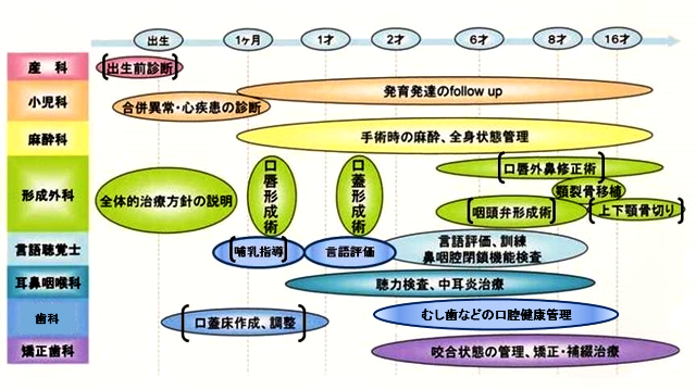 口唇口蓋裂(国立成育医療研究センター)の画像