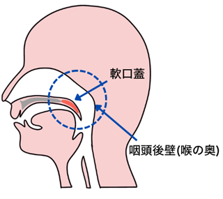 img02_k.png