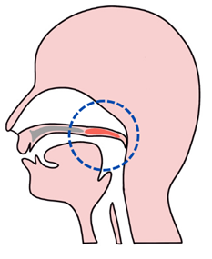 img03_k.png