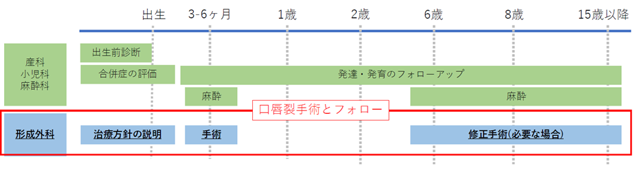 口唇裂治療スケジュール