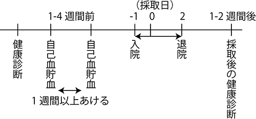 骨髄採取のスケジュールの画像