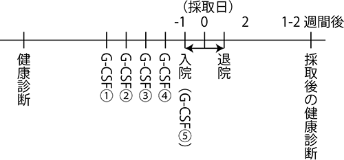 末梢血肝細胞採取のスケジュールの画像