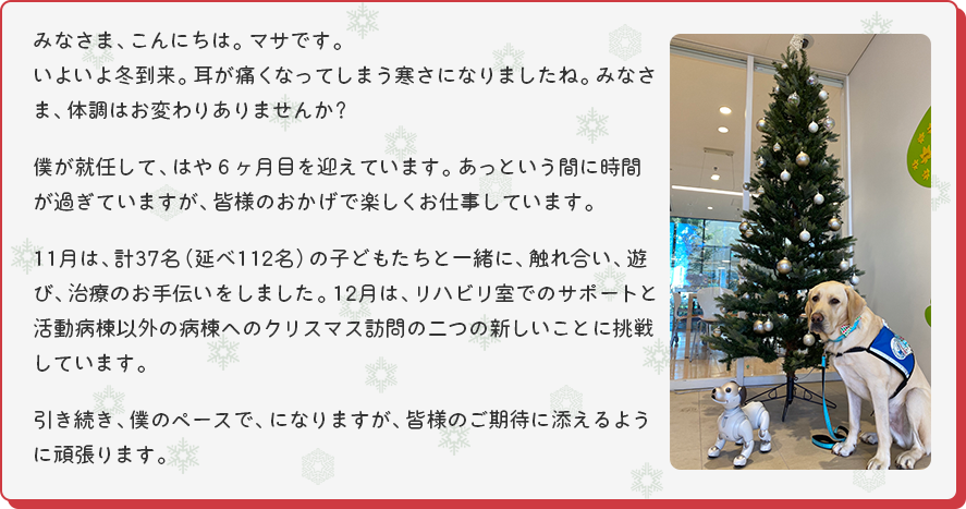 [クリスマスツリーとマサの写真]みなさま、こんにちは。マサです。
いよいよ冬到来。耳が痛くなってしまう寒さになりましたね。みなさま、体調はお変わりありませんか？
僕が就任して、はや６ヶ月目を迎えています。あっという間に時間が過ぎていますが、皆様のおかげで楽しくお仕事しています。11月は、計37名（延べ112名）の子どもたちと一緒に、触れ合い、遊び、治療のお手伝いをしました。12月は、リハビリ室でのサポートと活動病棟以外の病棟へのクリスマス訪問の二つの新しいことに挑戦しています。引き続き、僕のペースで、になりますが、皆様のご期待に添えるように頑張ります。