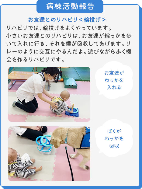 「病棟活動報告」
  お友達とのリハビリ＜輪投げ①＞
  リハビリでは、輪投げをよくやっています。小さいお友達とのリハビリは、お友達が輪っかを歩いて入れに行き、それを僕が回収してあげます。リレーのように交互にやるんだよ。遊びながら歩く機会を作るリハビリです。
  [わっかを入れる小さい男の子の写真]お友達がわっかを入れる。
  [わっかをかごに戻すマサの写真]ぼくがわっかを回収。