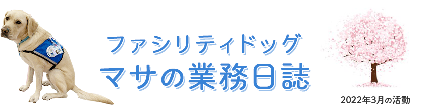 ファシリティドッグ「マサの業務日誌」2022年3月の活動