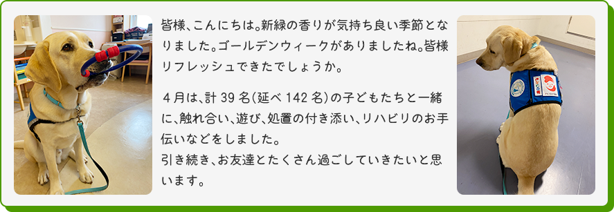 [わっかをくわえているマサの写真]
  皆様、こんにちは。新緑の香りが気持ち良い季節となりました。ゴールデンウィークがありましたね。皆様リフレッシュできたでしょうか。４月は、計39名（延べ142名）の子どもたちと一緒に、触れ合い、遊び、処置の付き添い、リハビリのお手伝いなどをしました。引き続き、お友達とたくさん過ごしていきたいと思います。