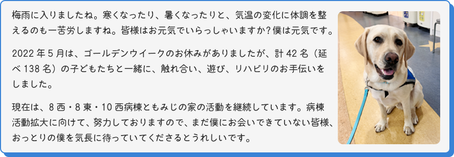 [お座りをしているマサの写真]
梅雨に入りましたね。寒くなったり、暑くなったりと、気温の変化に体調を整えるのも一苦労しますね。皆様はお元気でいらっしゃいますか？僕は元気です。
2022年5月は、ゴールデンウイークのお休みがありましたが、計42名（延べ138名）の子どもたちと一緒に、触れ合い、遊び、リハビリのお手伝いをしました。
現在は、8西・8東・10西病棟ともみじの家の活動を継続しています。病棟活動拡大に向けて、努力しておりますので、まだ僕にお会いできていない皆様、おっとりの僕を気長に待っていてくださるとうれしいです。
