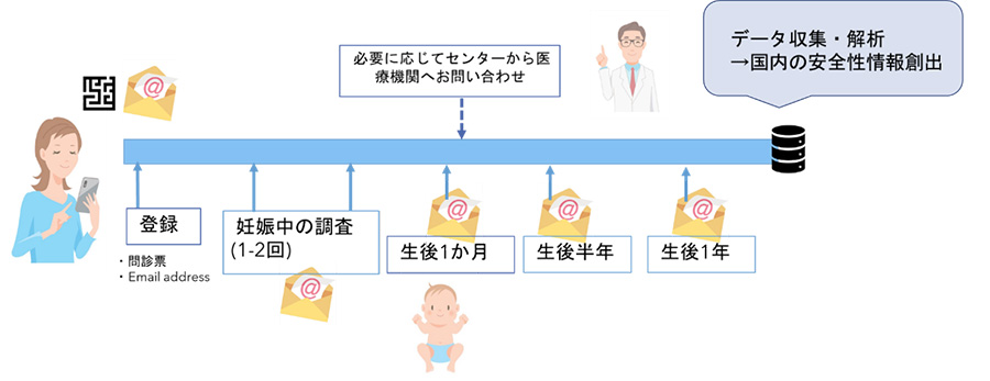 相談後妊娠調査のスケジュールイメージ図の画像