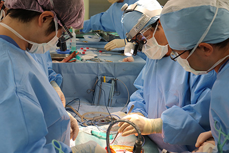 臓器移植手術の様子