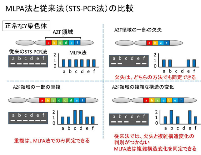 MLPA法と従来法(STS-PCR法)の比較の画像