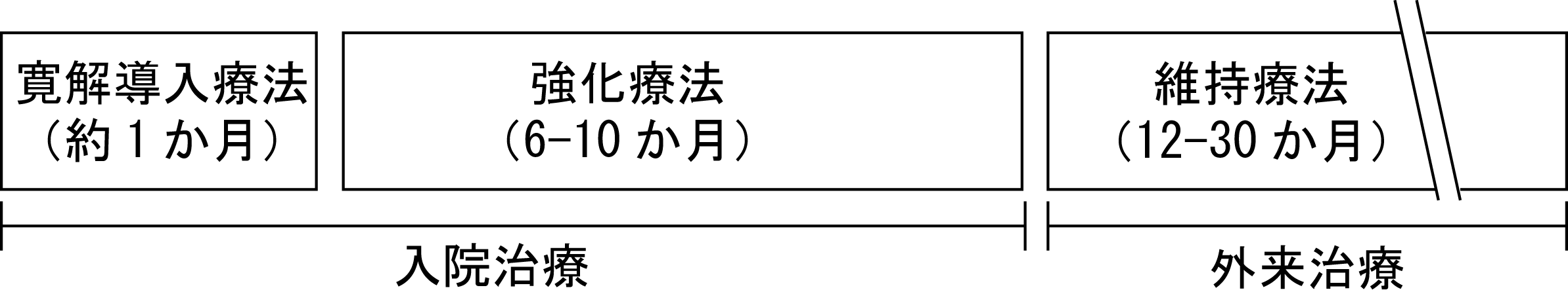 図1. 小児急性リンパ性白血病の治療の一般的な枠組みの画像