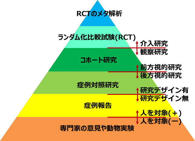 RCTの画像