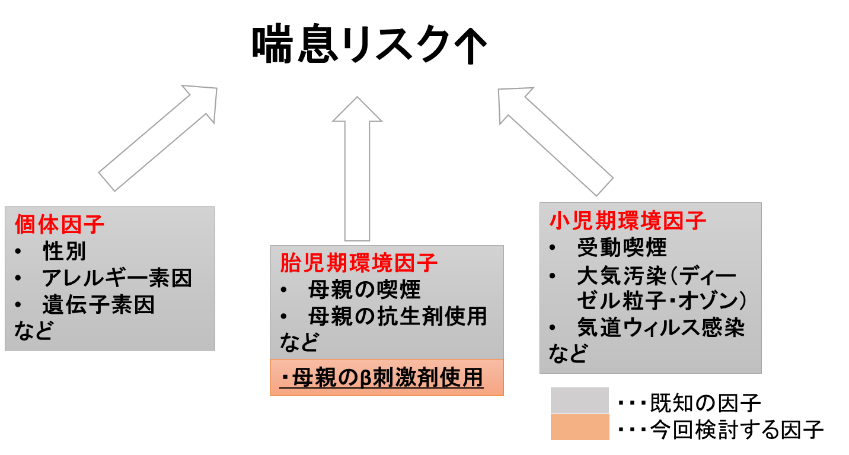 喘息の発症リスクを増やす要因の画像