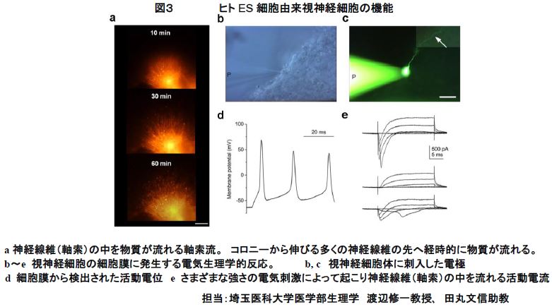 図3の画像