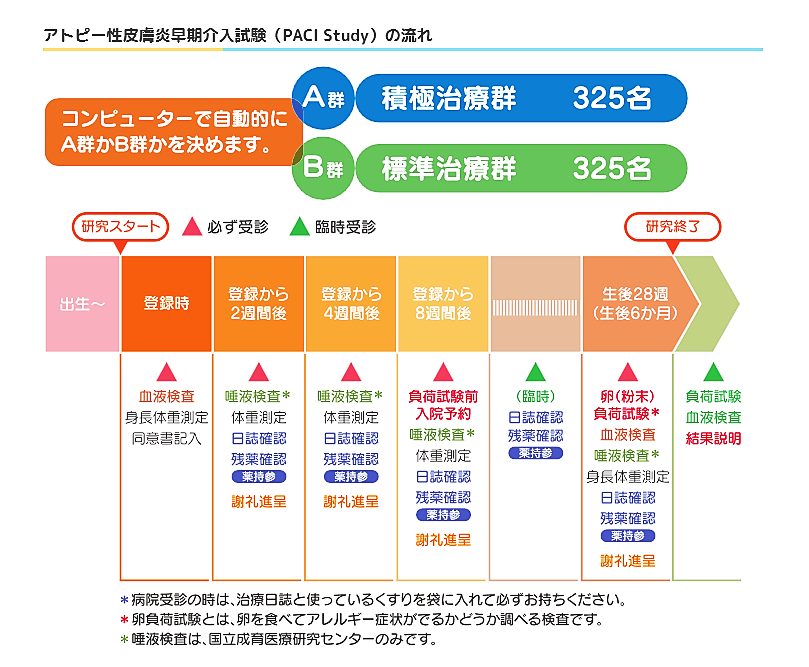 アトピー性皮膚炎早期介入試験（PACI Study）の流れの画像