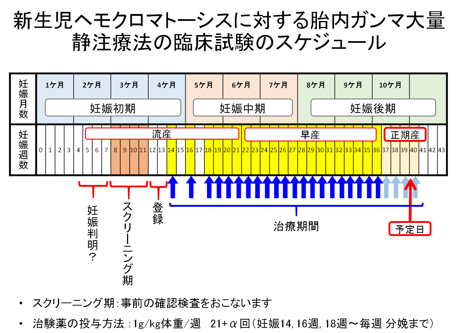 図1：医師主導治験の方法の画像