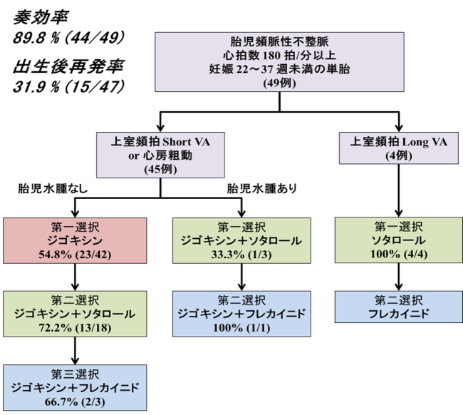 プロトコール治療の有効性（奏効率）