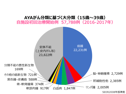 AYAがん分類に基づく大分類（15歳～39歳）