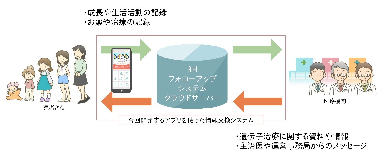 ３Ｈ図の画像