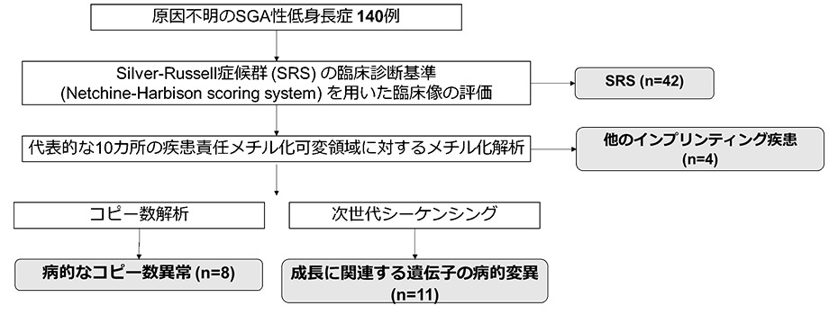 原因不明のSGA性低身長症 140例に対する遺伝子解析による原因の特定のフロー