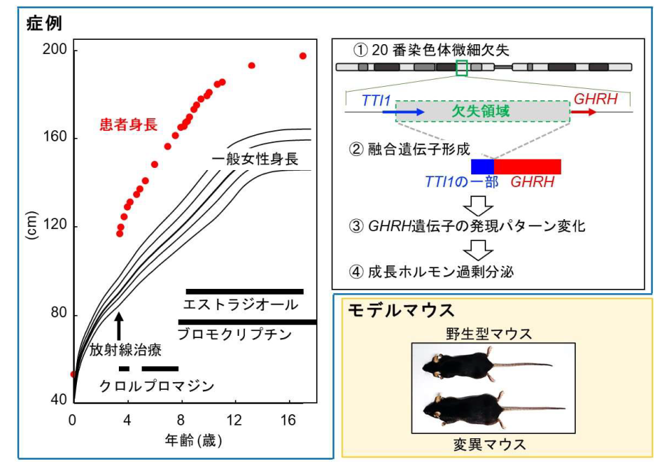 本研究に関する図表