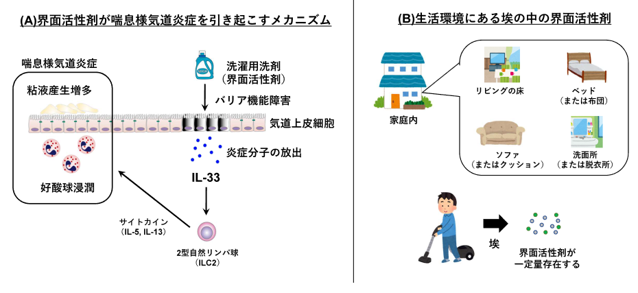 本リリースのイメージ図