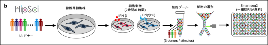 研究概要図