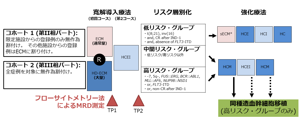 AML-12臨床試験の概要