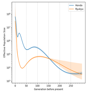 ゲノム情報から推定した沖縄と本土の過去の人口変化