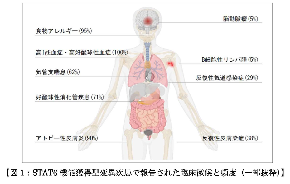 STAT6機能獲得型変異疾患で報告された臨床徴候と頻度（一部抜粋）