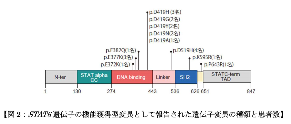 STAT6遺伝子の機能獲得型変異として報告された遺伝子変異の種類と患者数