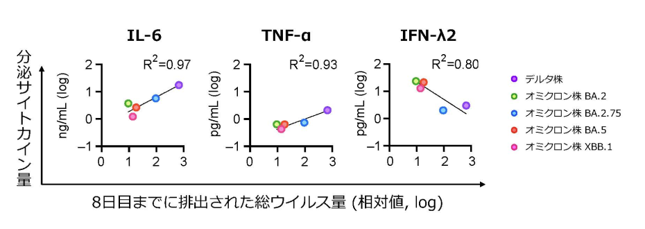 感染ミニ腸の分泌サイトカイン解析結果のグラフ
